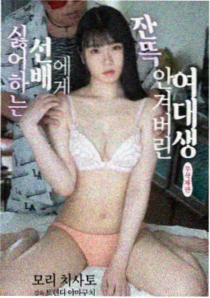 国产剧 4480喝茶影视剧免费